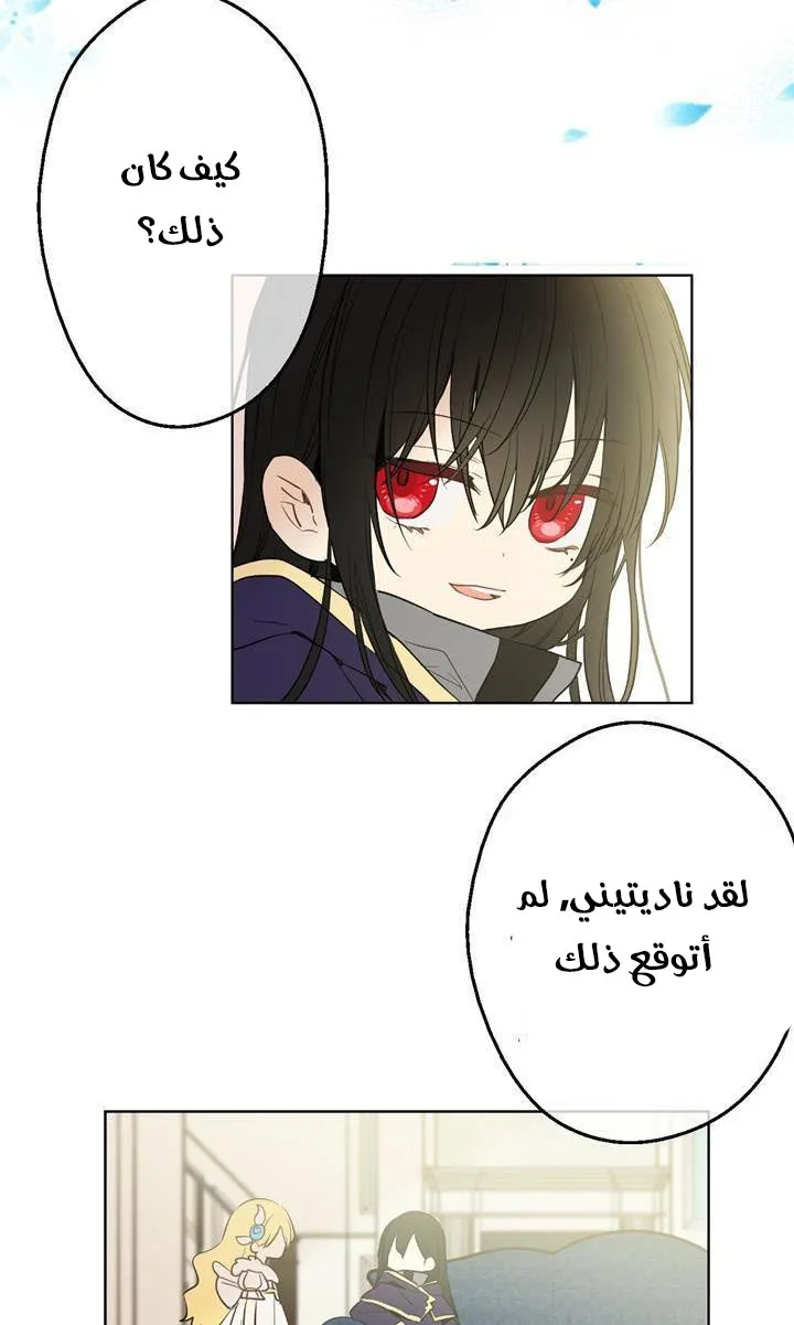 الصفحة 12 من 82