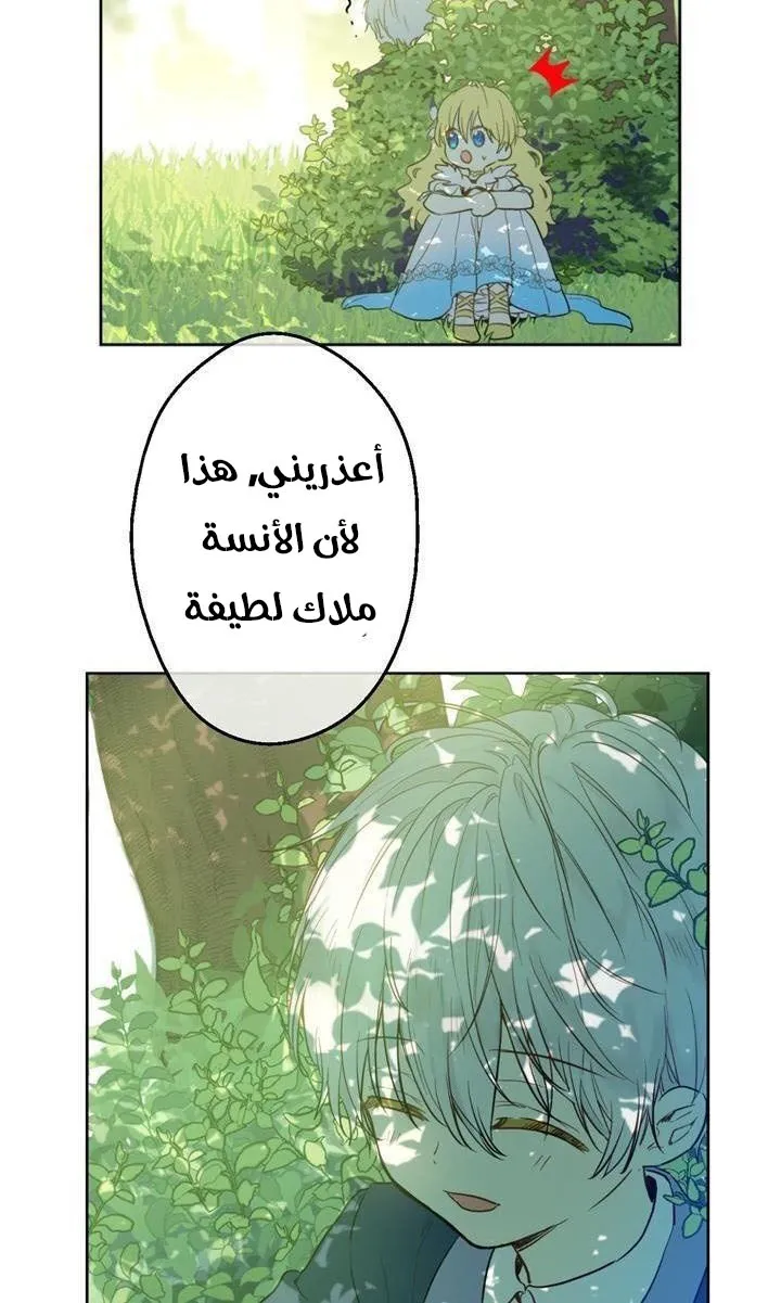 الصفحة 8 من 82