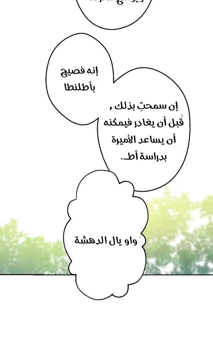 الصفحة 34 من 82