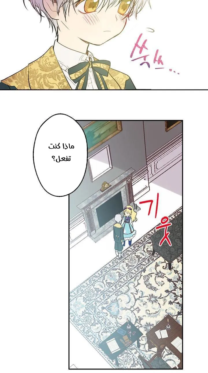 الصفحة 55 من 82