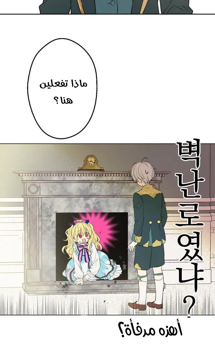 الصفحة 46 من 82