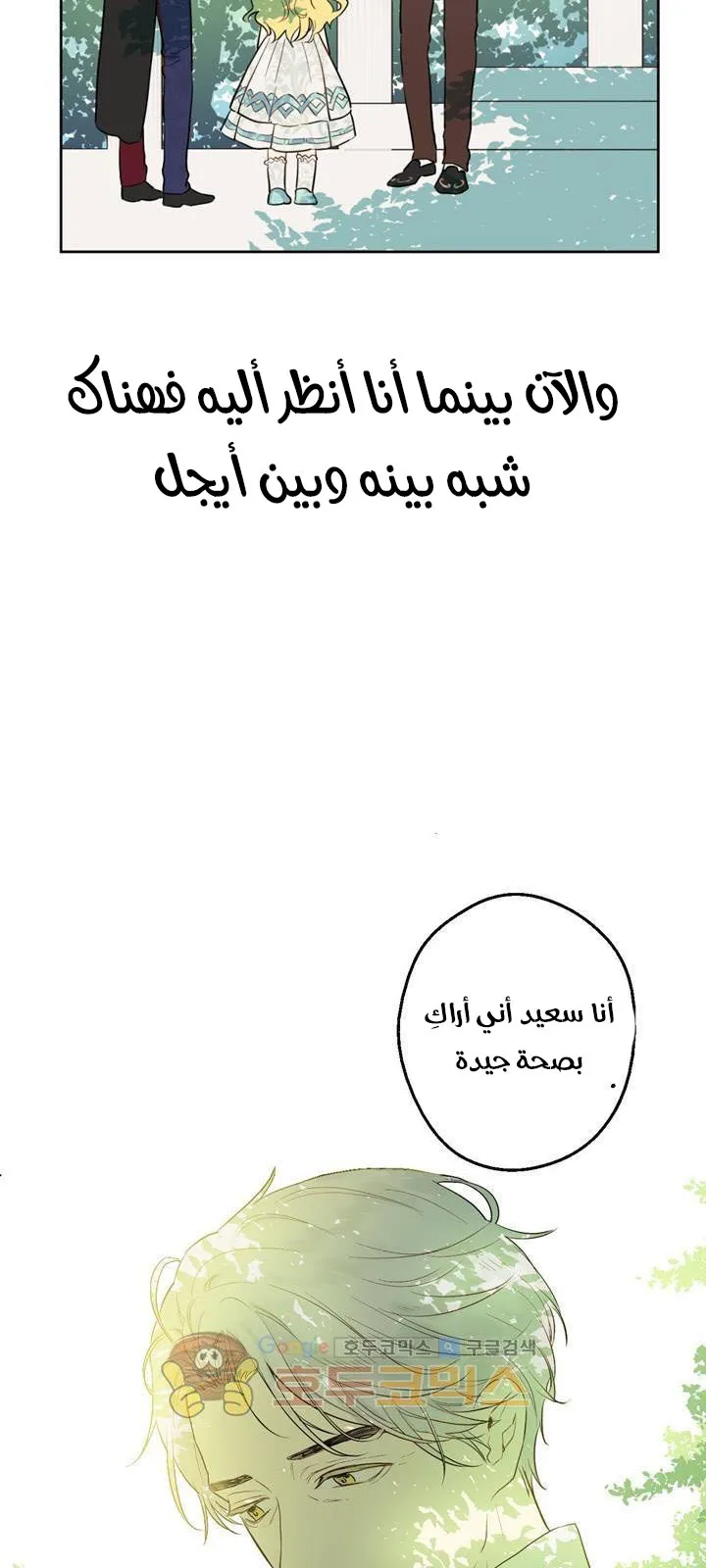 الصفحة 31 من 82