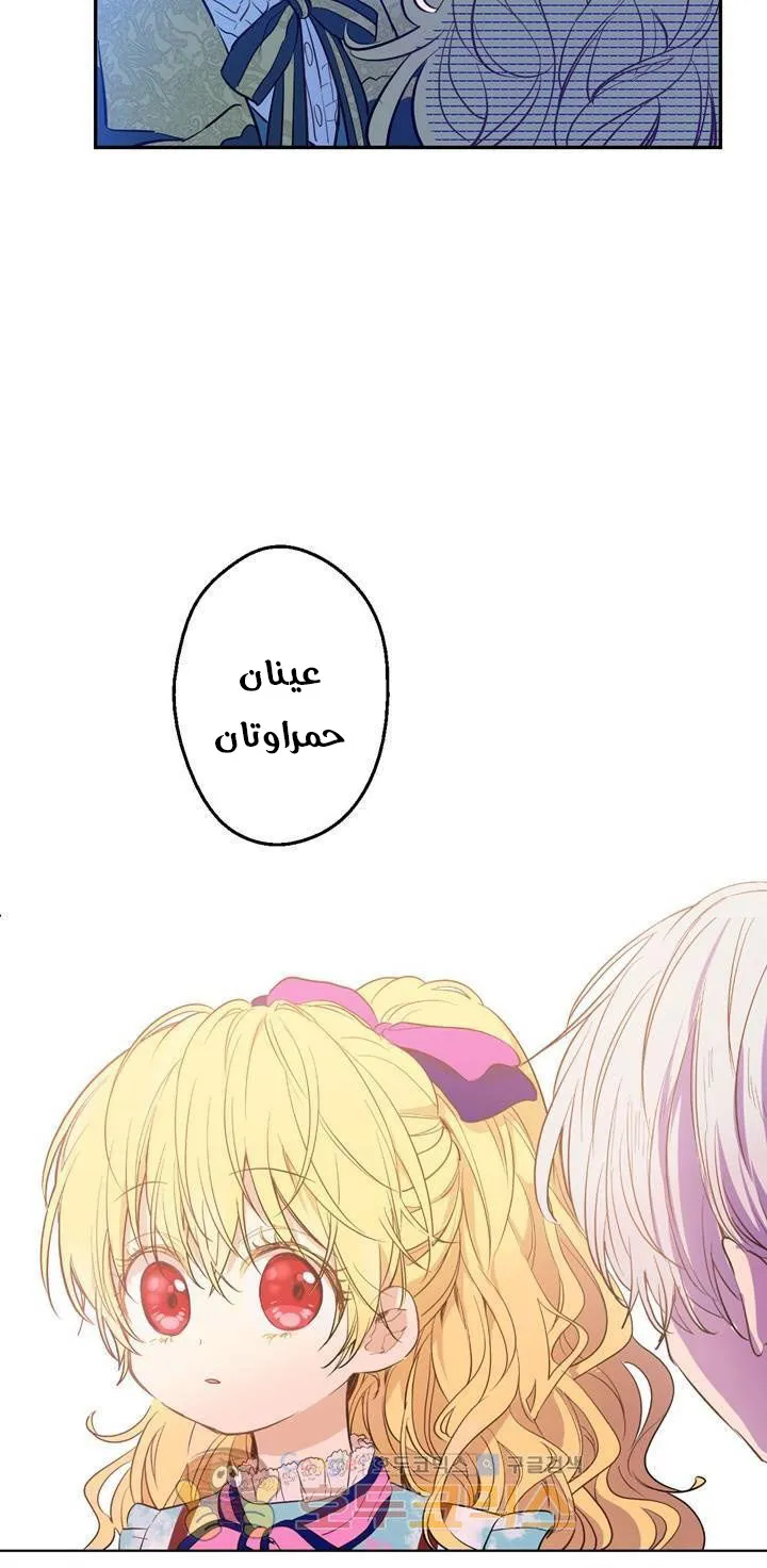 الصفحة 49 من 82