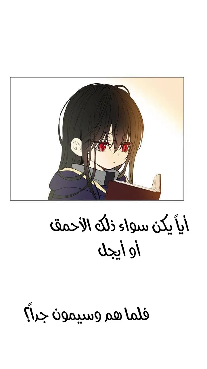الصفحة 28 من 82