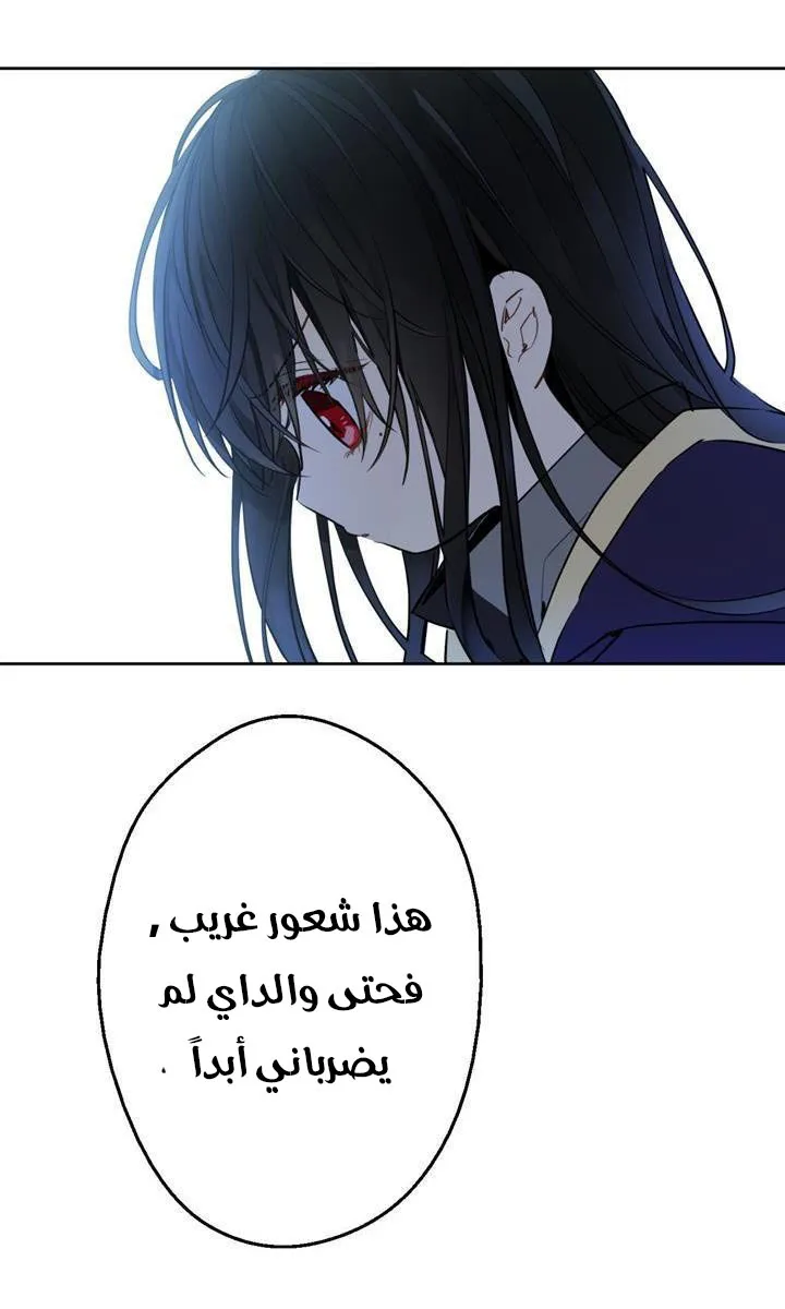 الصفحة 19 من 82