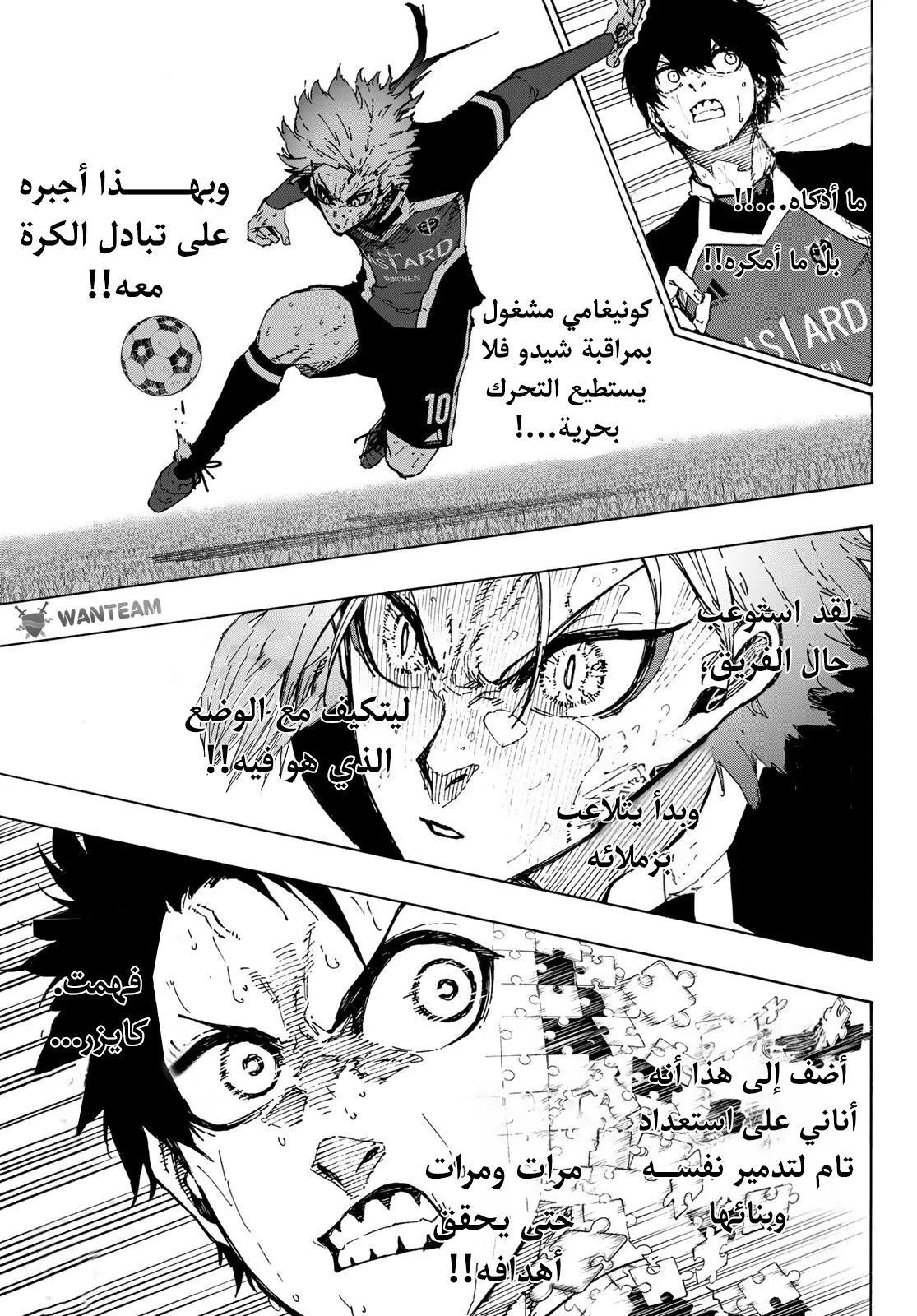 الصفحة 13 من 19