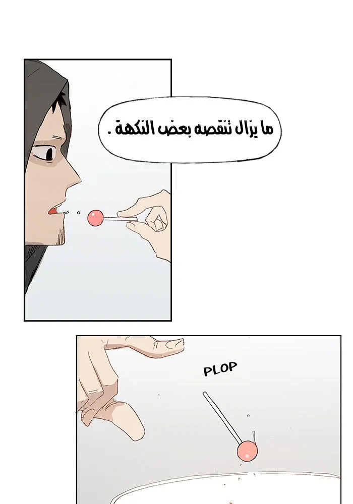 الصفحة 13 من 52