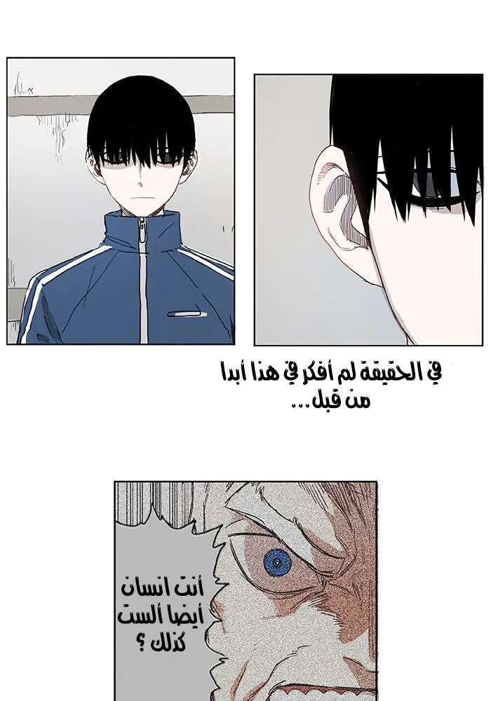 الصفحة 25 من 52