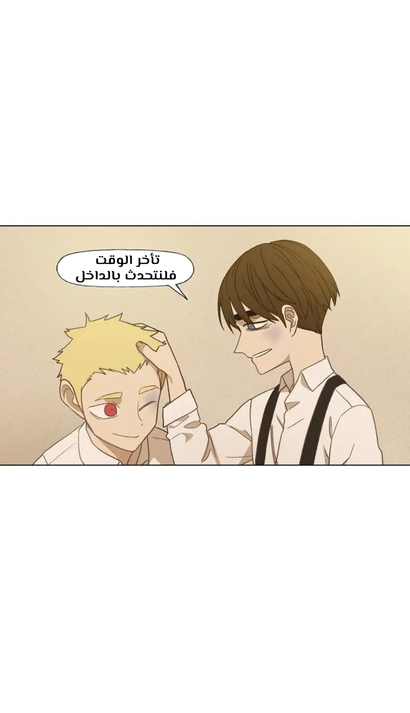 الصفحة 24 من 125