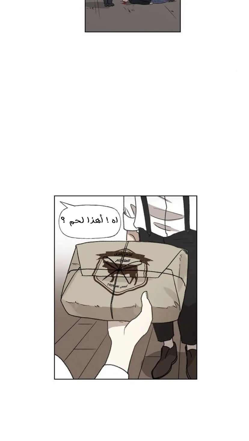 الصفحة 114 من 125