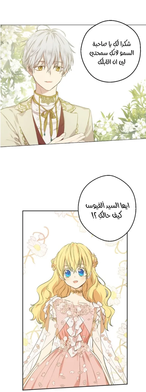 الصفحة 24 من 60