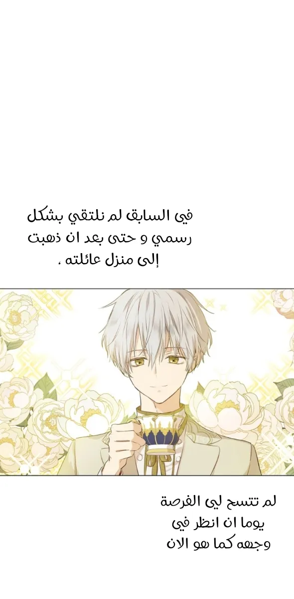 الصفحة 29 من 60