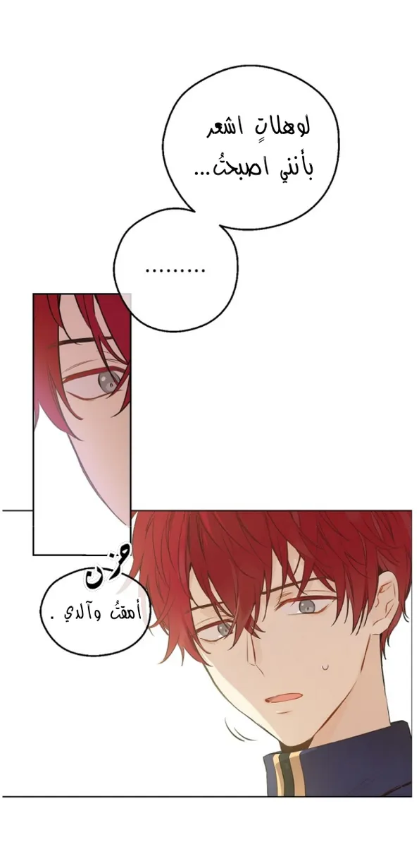 الصفحة 8 من 60