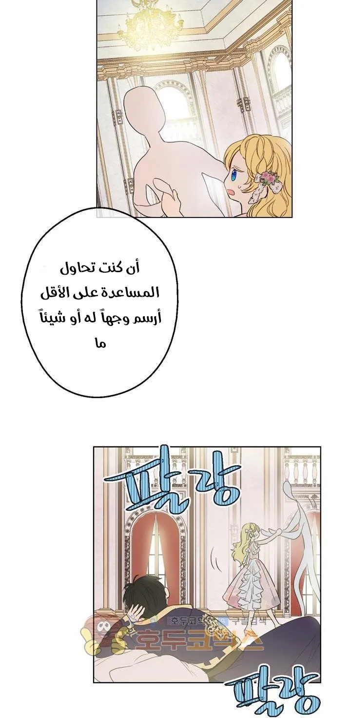 الصفحة 11 من 40