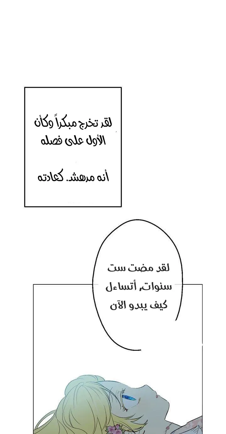الصفحة 20 من 40