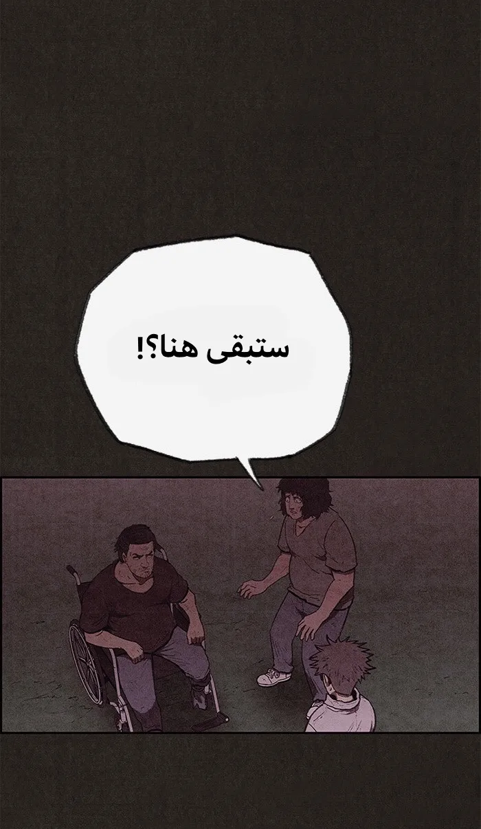 الصفحة 12 من 95