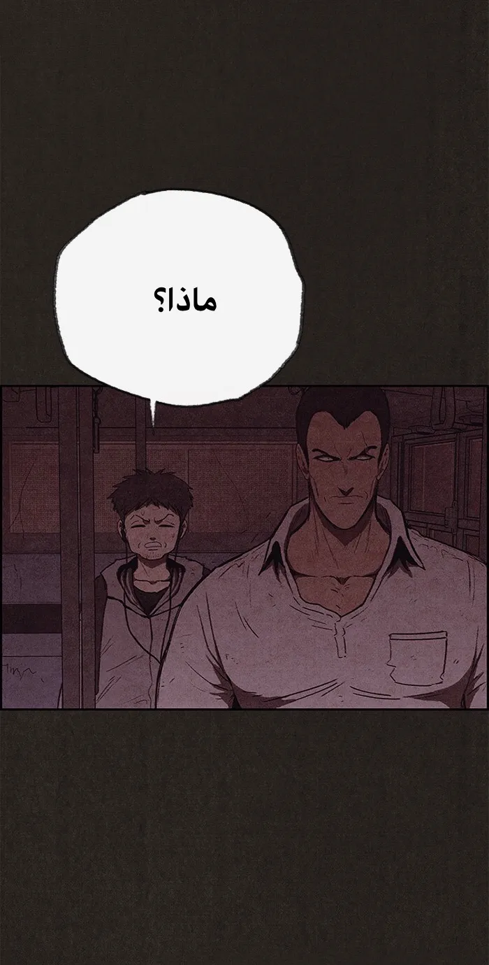 الصفحة 2 من 95