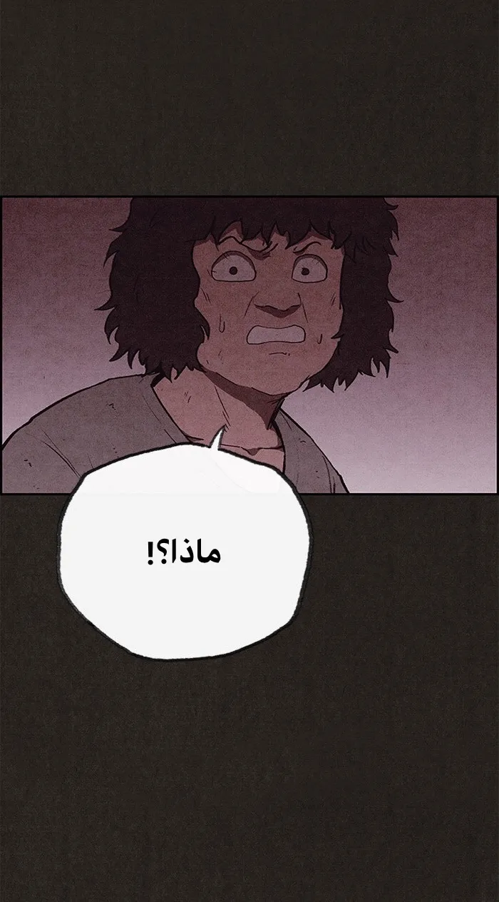 الصفحة 11 من 95