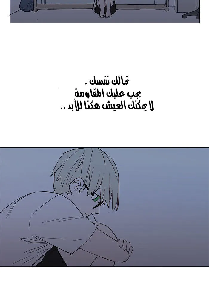 الصفحة 5 من 62