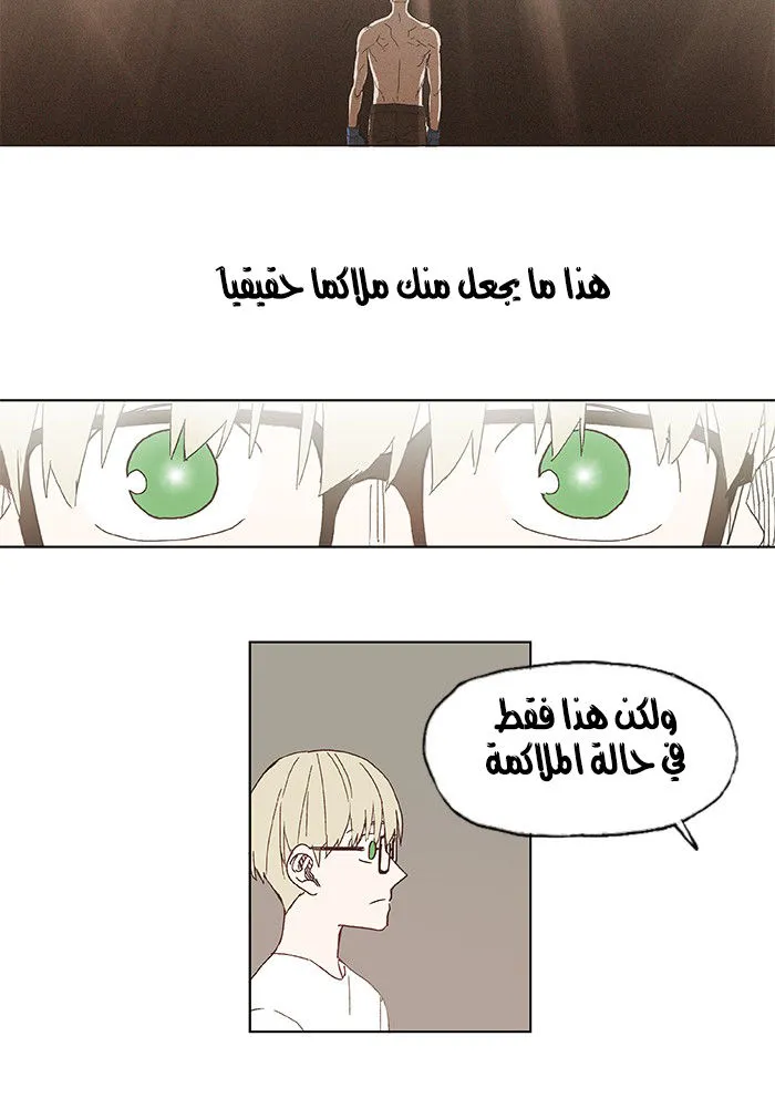 الصفحة 23 من 62