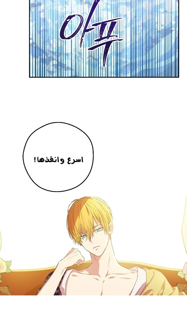 الصفحة 19 من 33