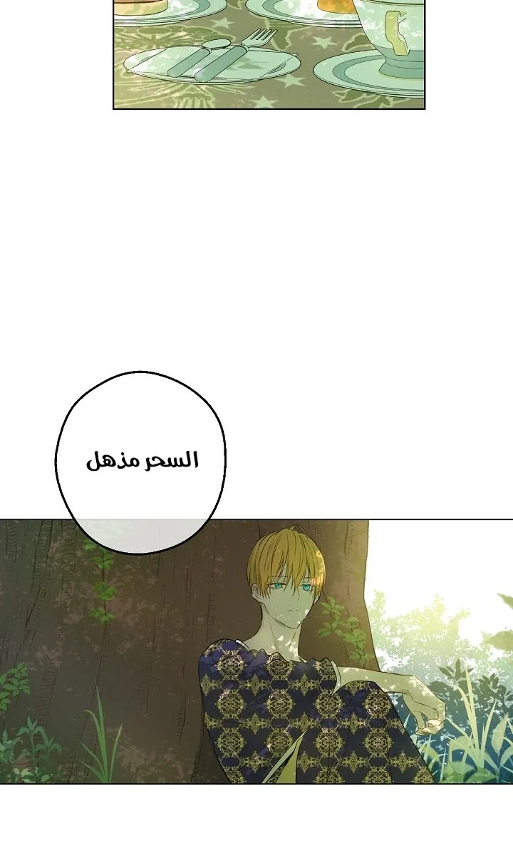 الصفحة 31 من 33
