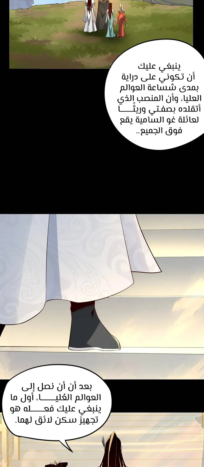 الصفحة 19 من 50