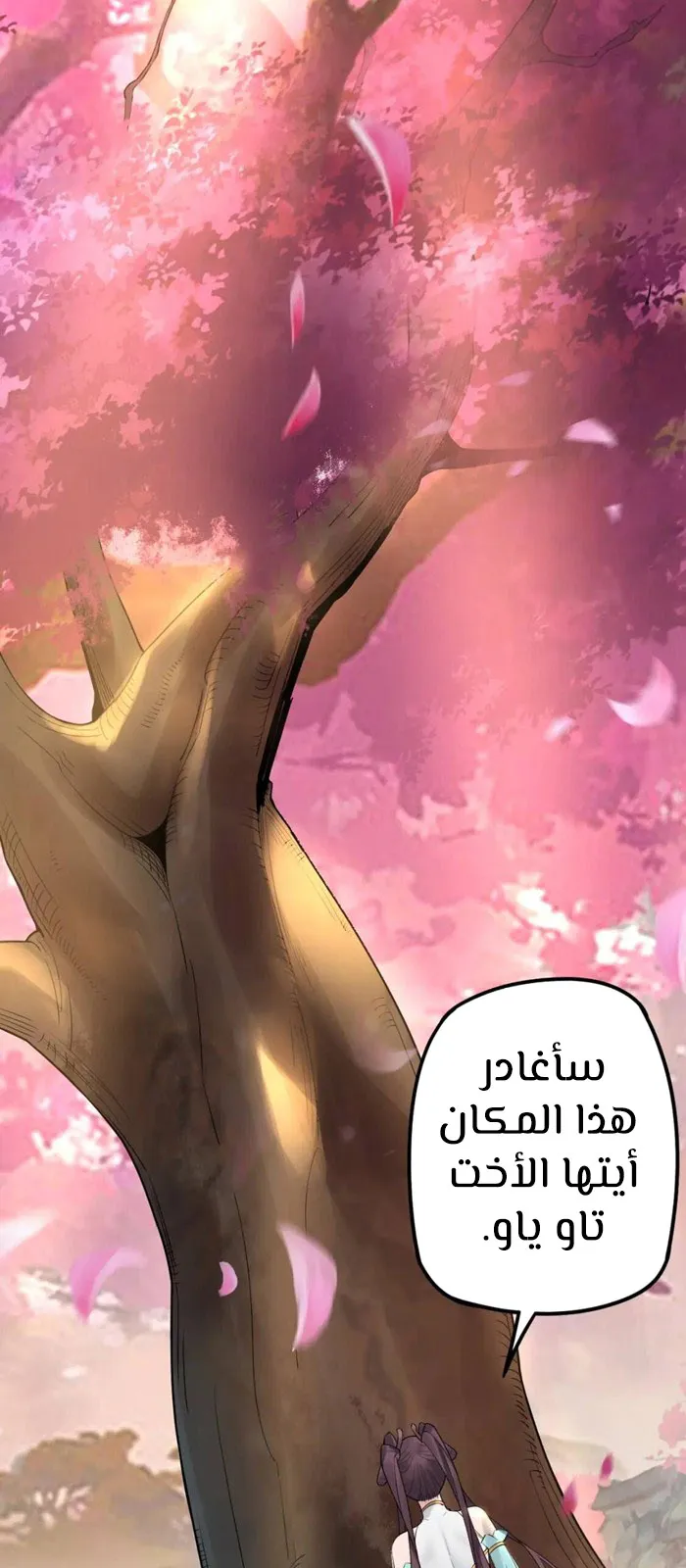 الصفحة 43 من 50