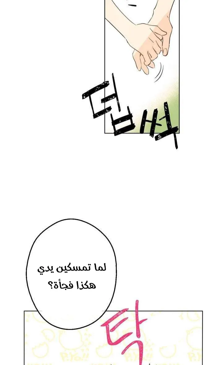 الصفحة 5 من 61