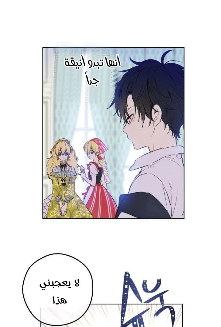 الصفحة 13 من 61
