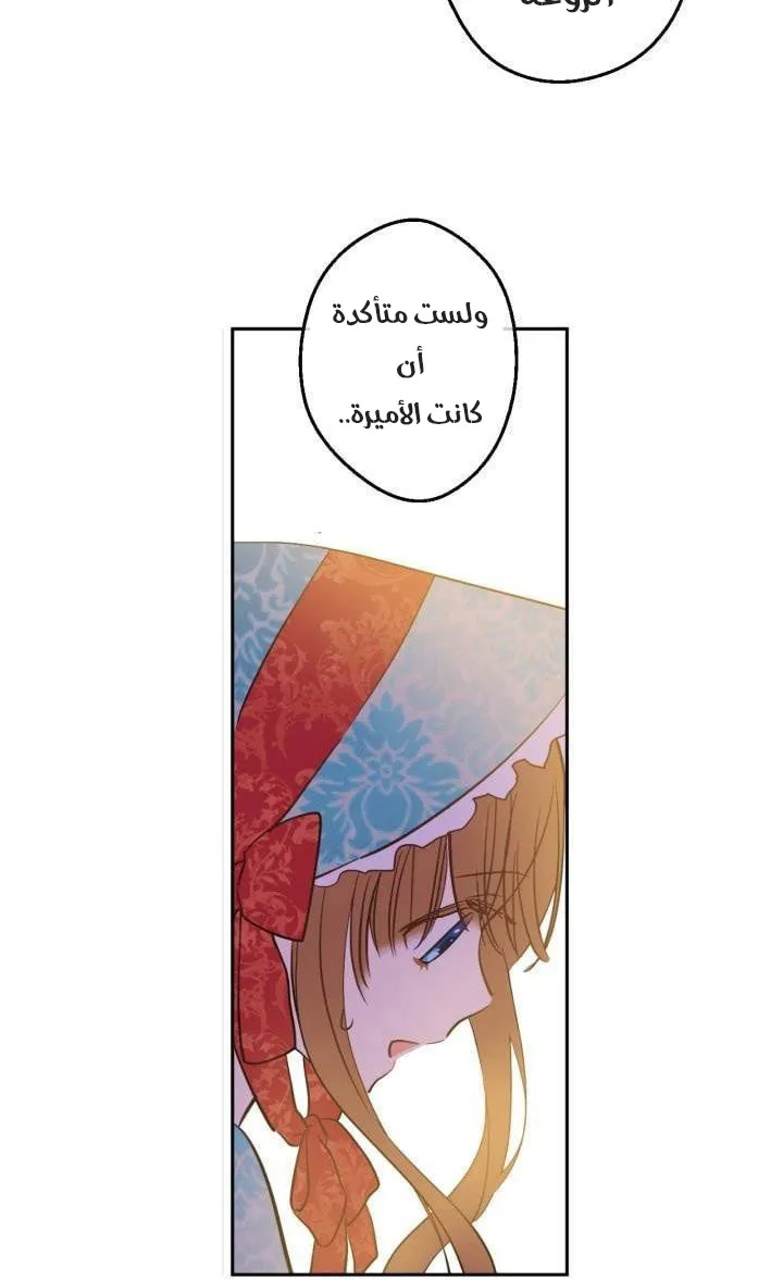 الصفحة 33 من 61