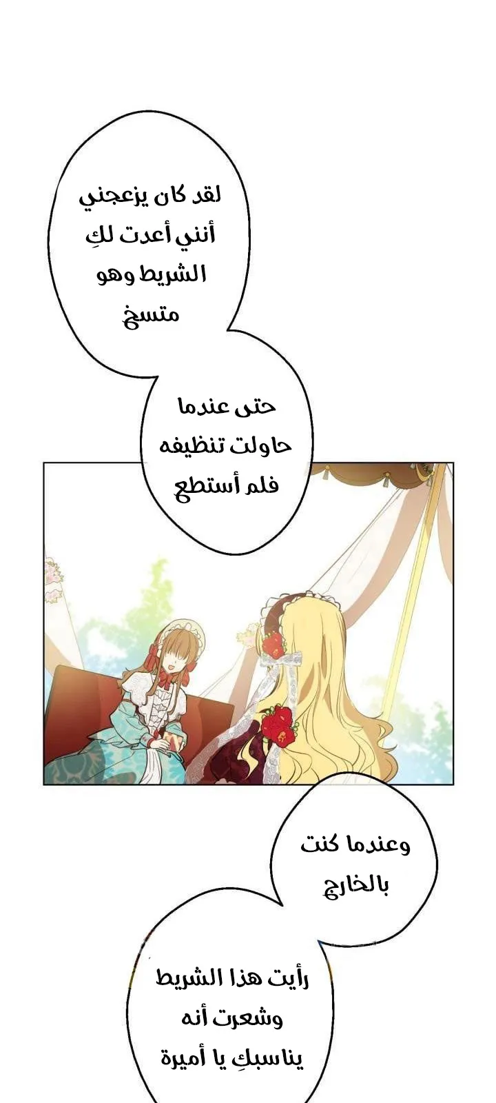 الصفحة 28 من 61