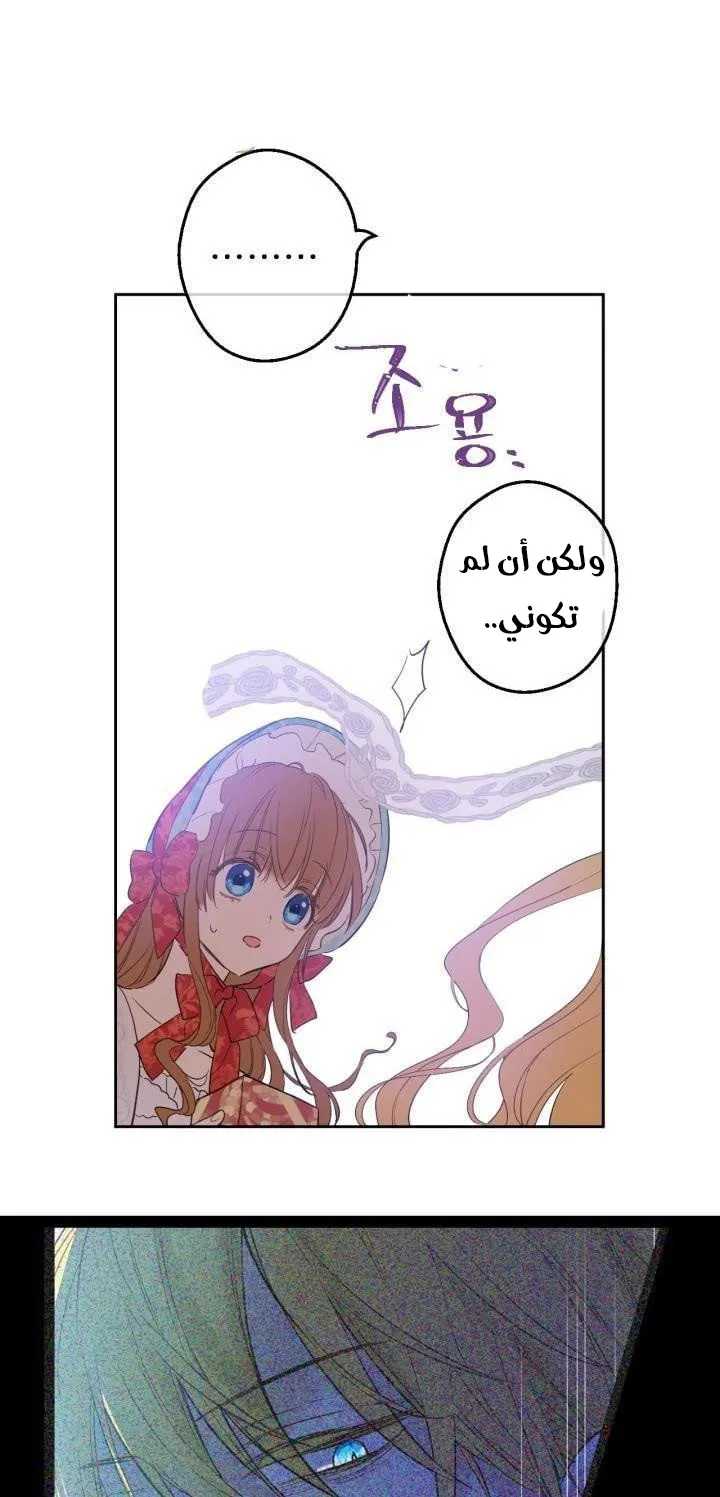 الصفحة 31 من 61