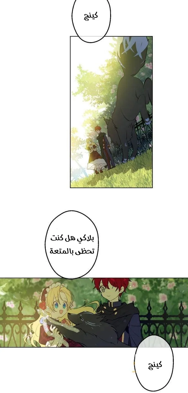 الصفحة 46 من 61