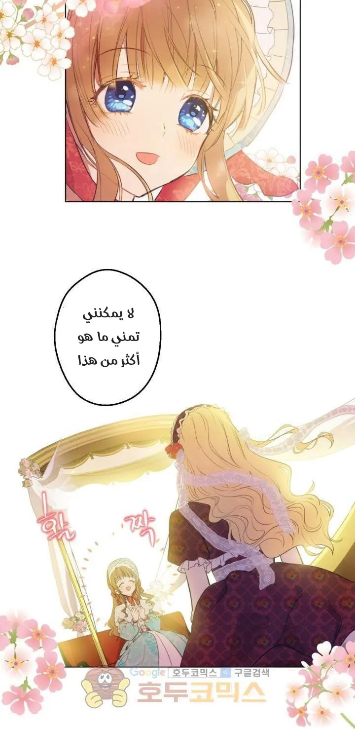 الصفحة 38 من 61