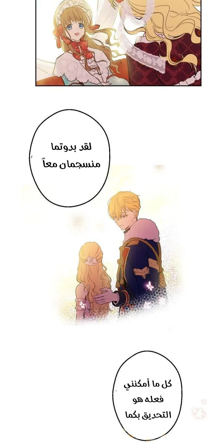 الصفحة 22 من 61