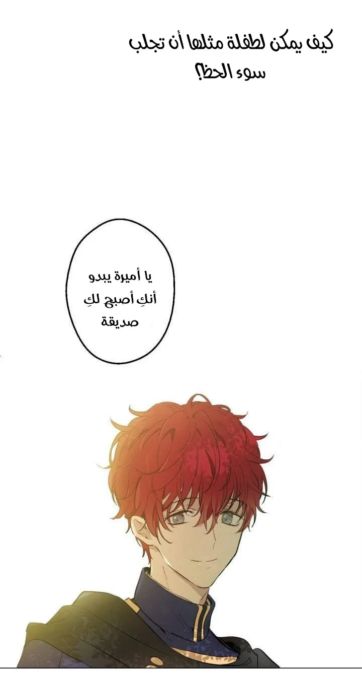 الصفحة 44 من 61