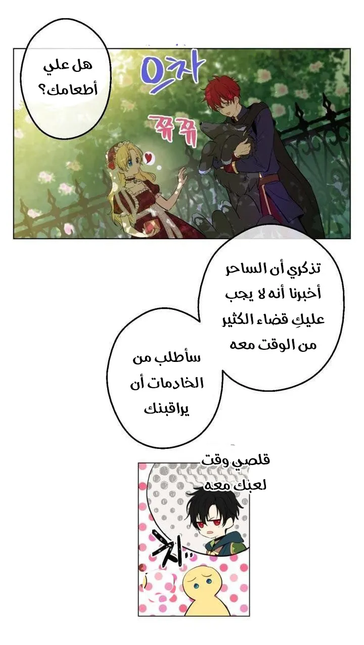 الصفحة 47 من 61