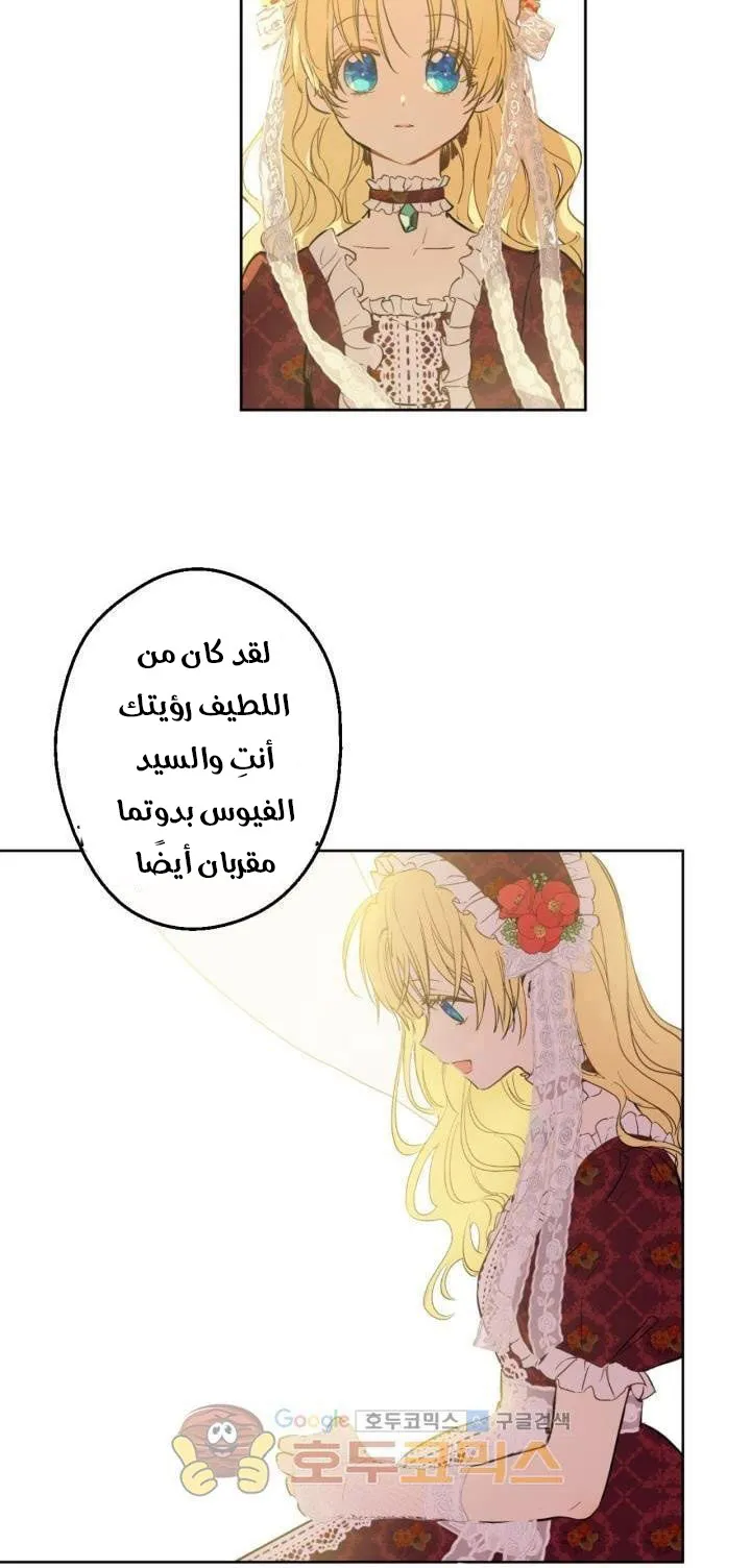 الصفحة 24 من 61