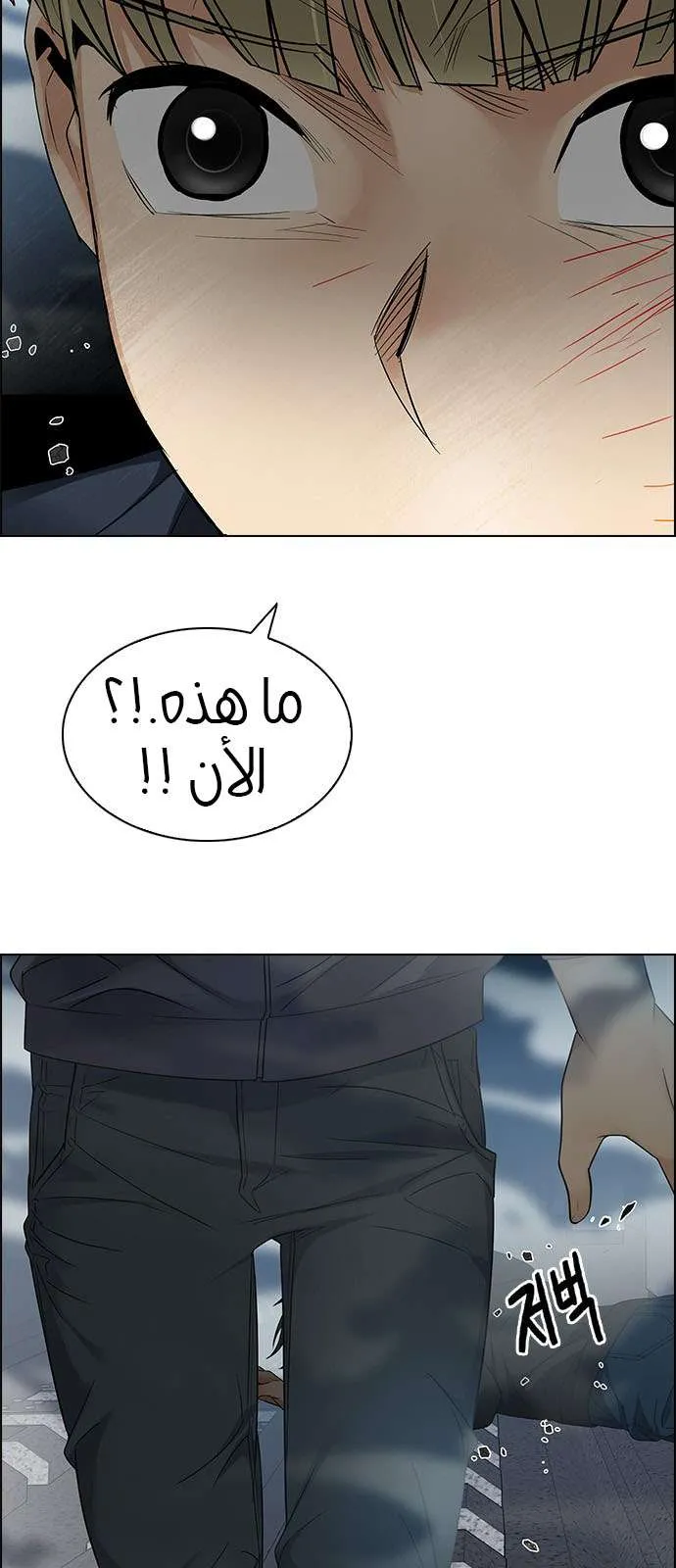 الصفحة 43 من 60