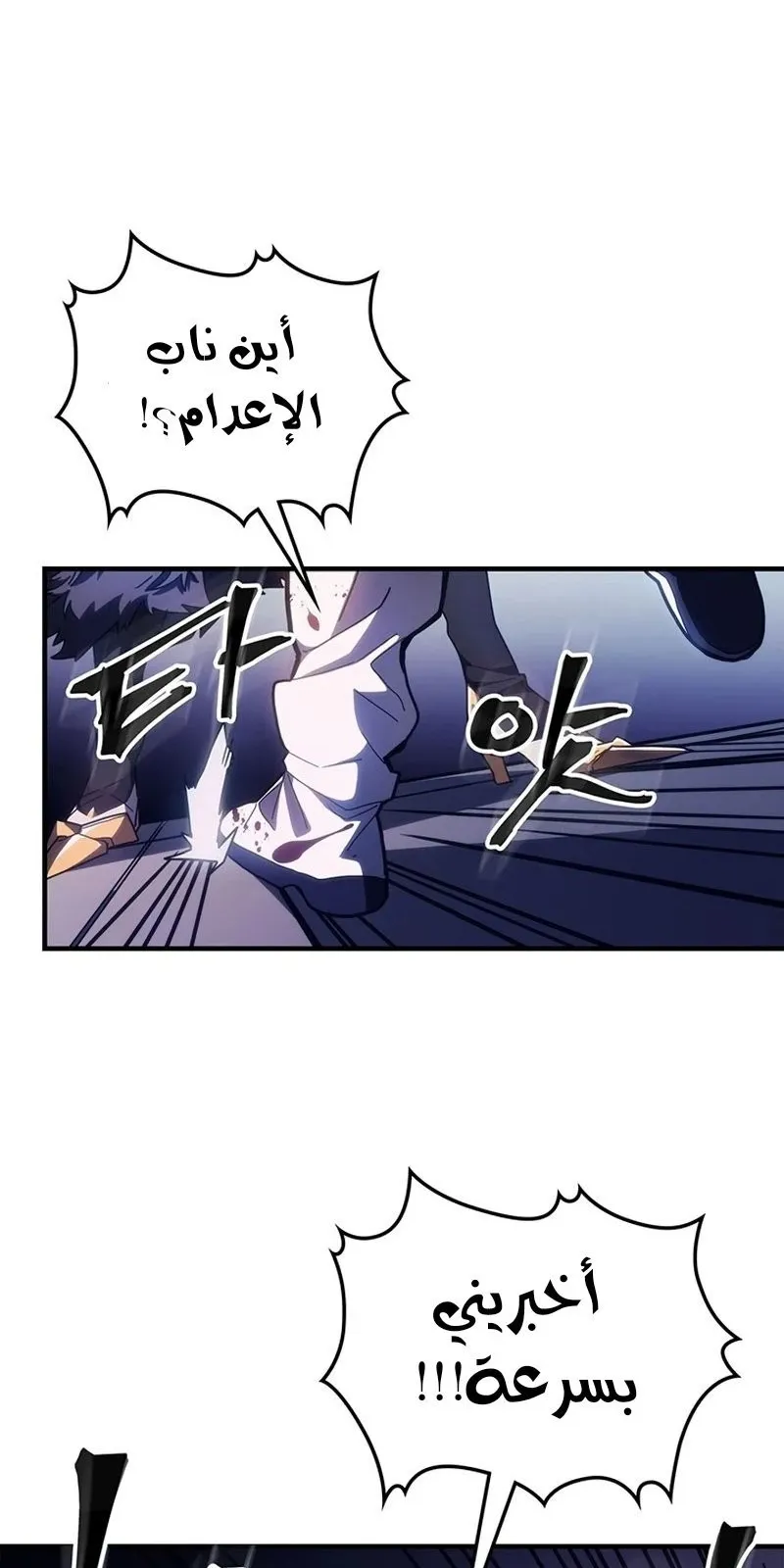 الصفحة 13 من 96