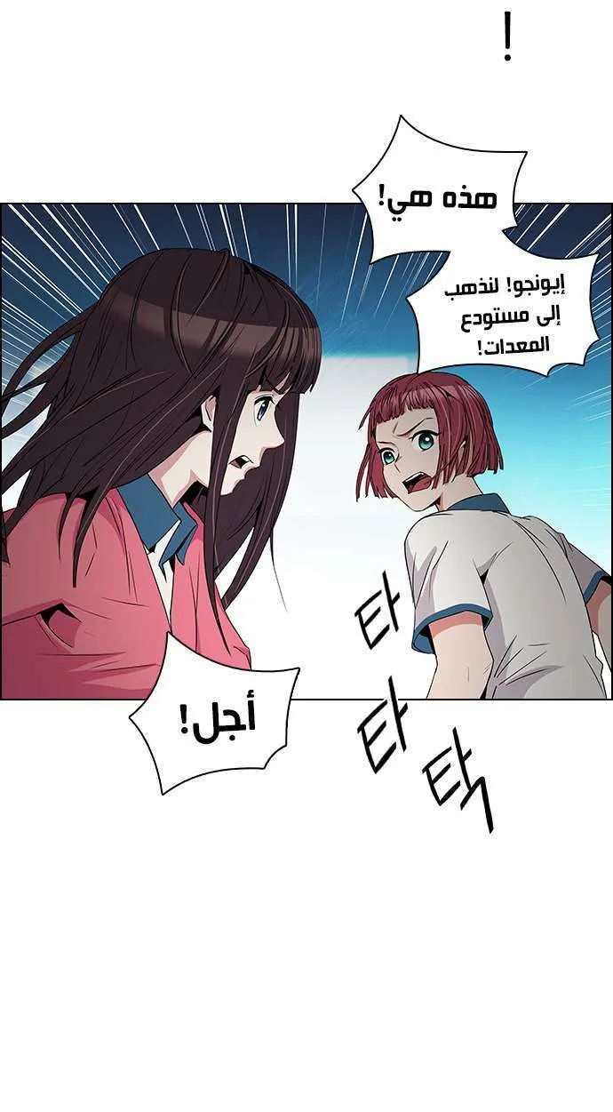 الصفحة 29 من 51