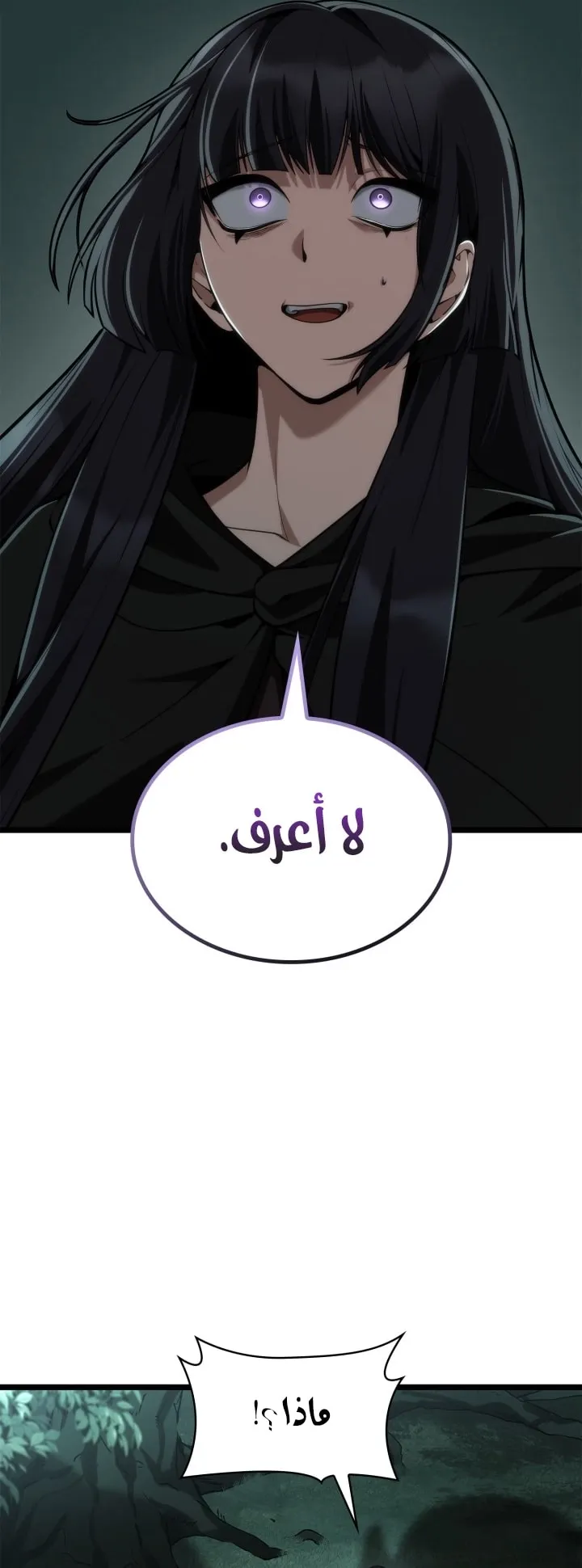 الصفحة 52 من 97