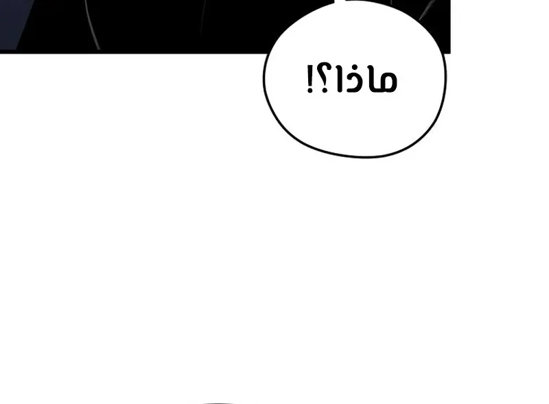 الصفحة 46 من 134