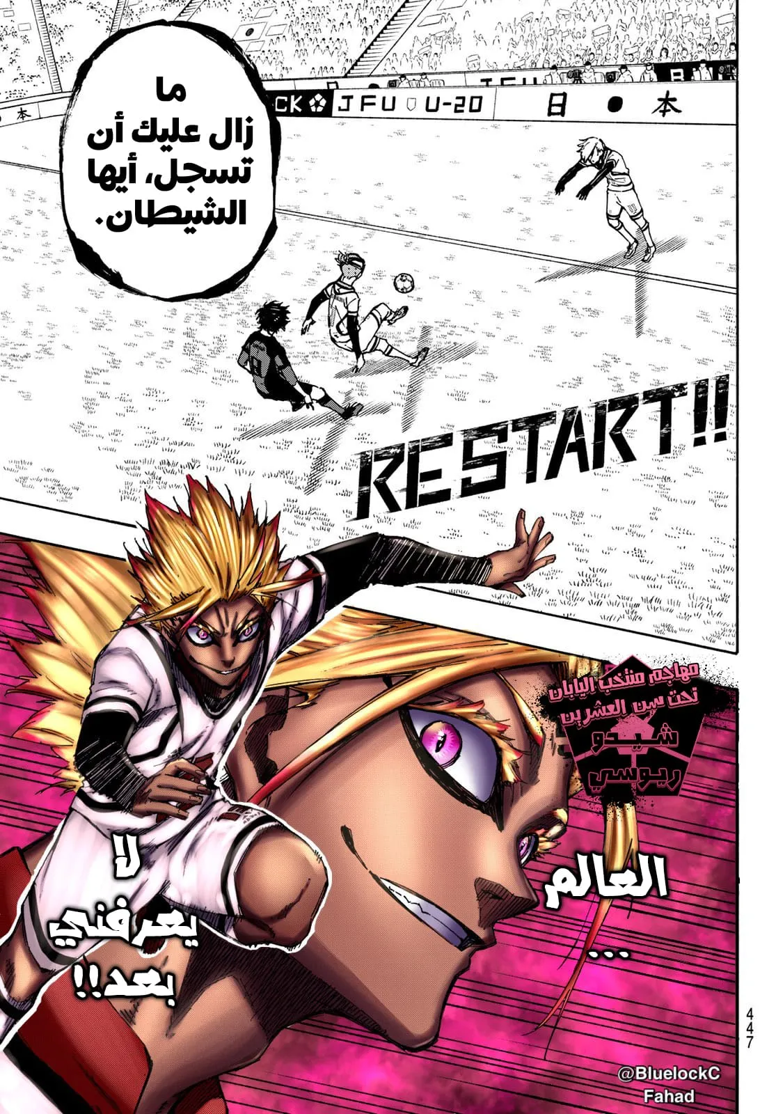 الصفحة 8 من 25