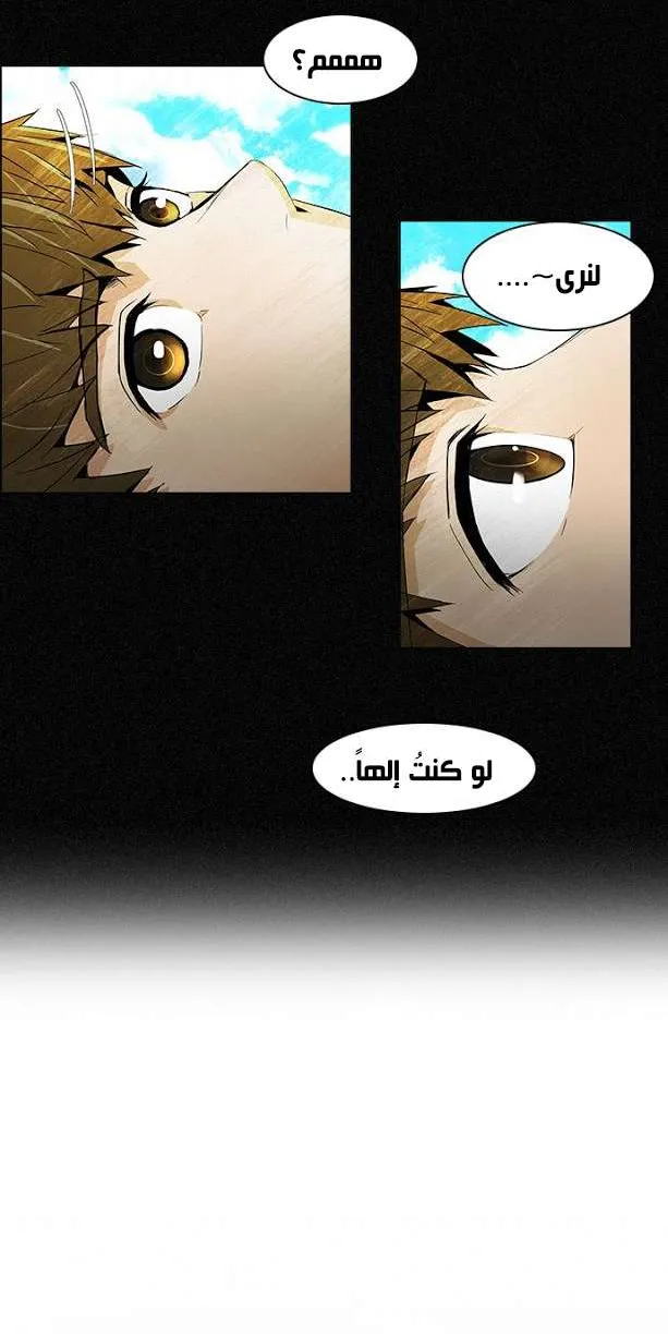الصفحة 14 من 43