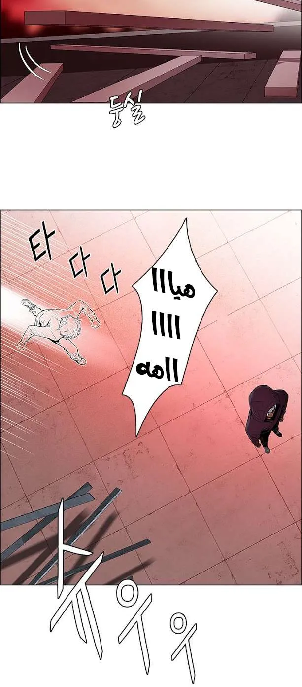 الصفحة 29 من 43