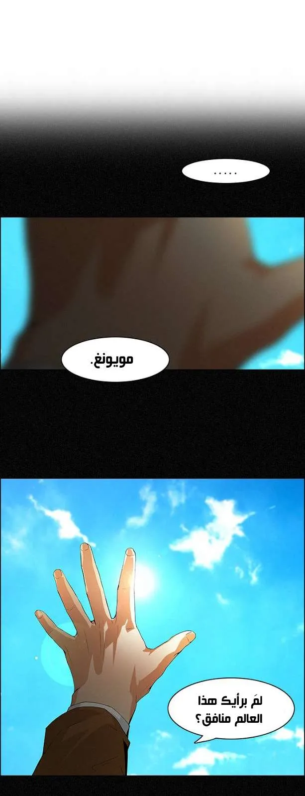 الصفحة 11 من 43