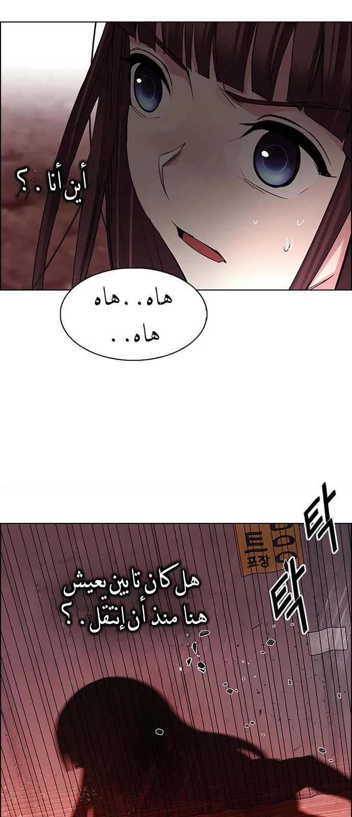الصفحة 45 من 53