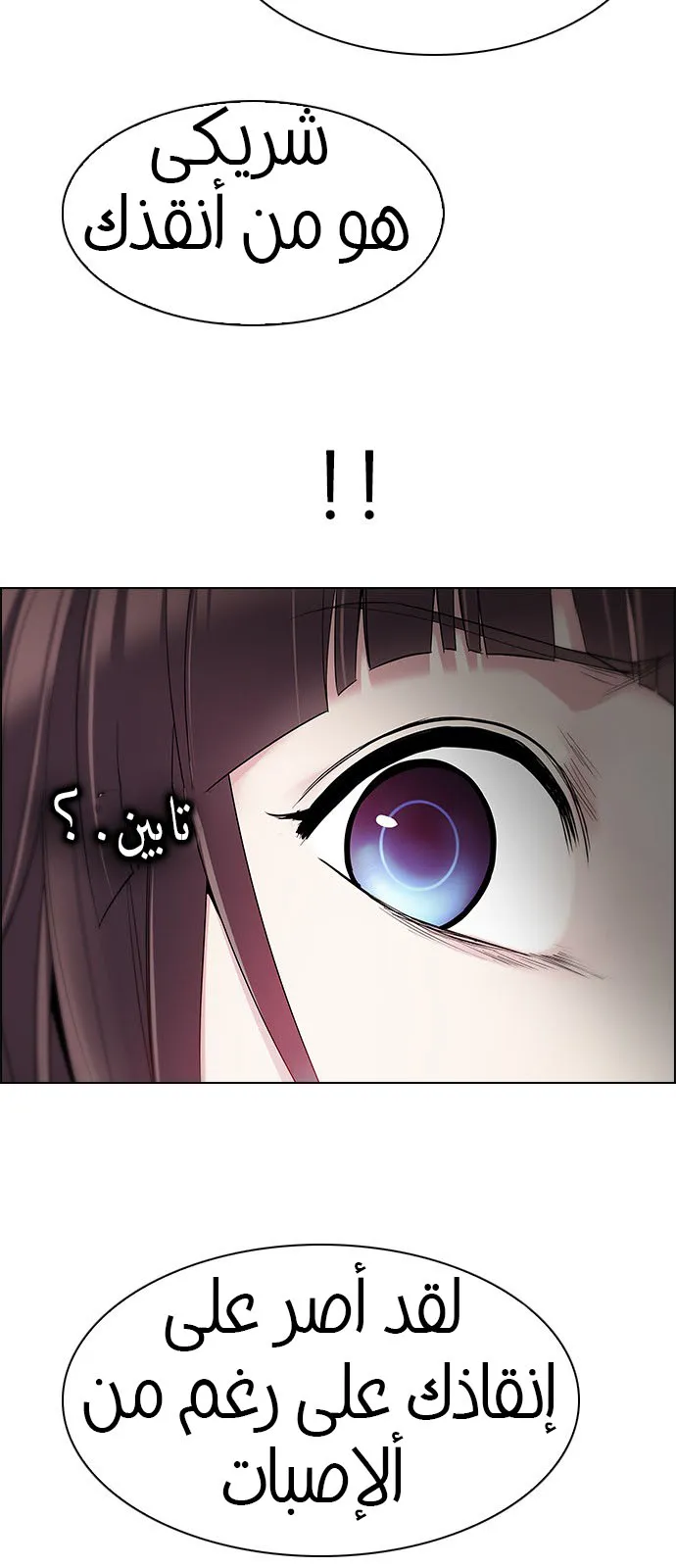 الصفحة 11 من 53